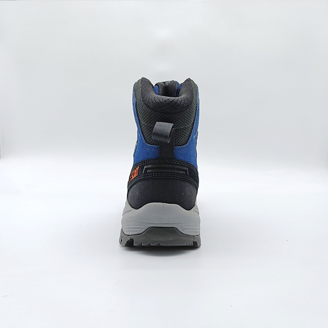 BS24-6131XW