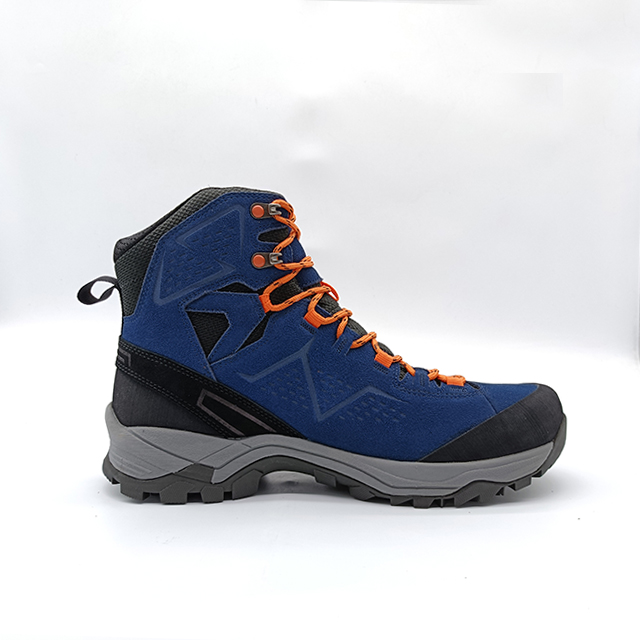 BS24-6131XW